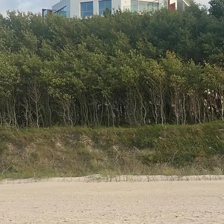 Pinea Max 波别罗沃