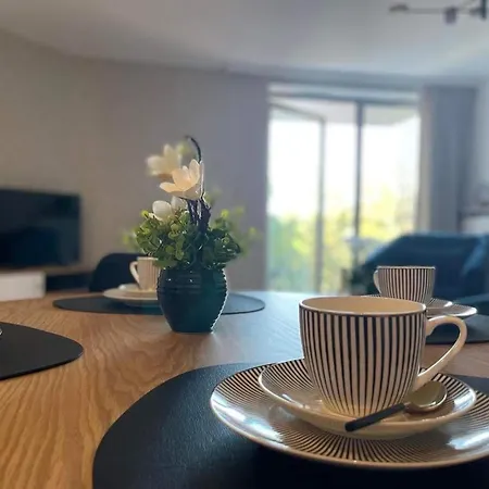 Pinea Max 波别罗沃