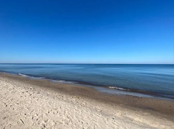 Pinea Max Apartament *