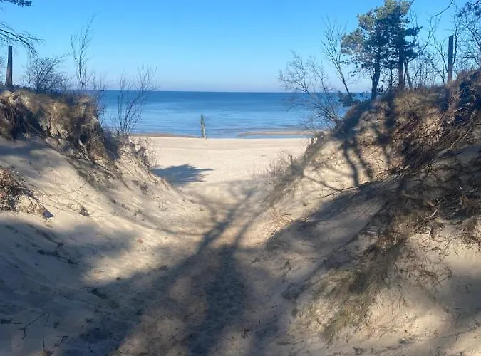 Pinea Max Apartament *